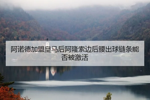 阿诺德加盟皇马后阿隆索边后腰出球链条能否被激活