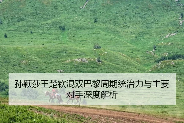孙颖莎王楚钦混双巴黎周期统治力与主要对手深度解析