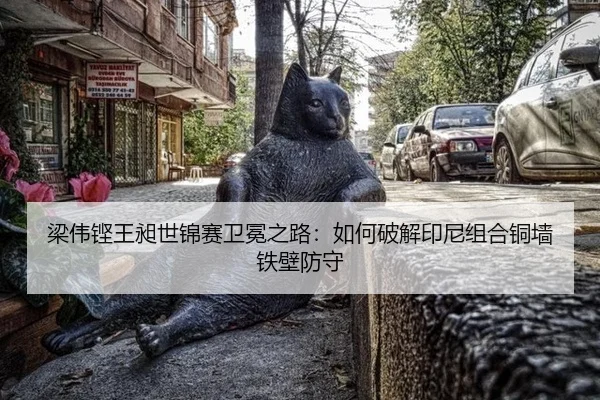 liang-wei-keng-wang-chang-shi-jin-sai-wei-mian-zhi-lu-ru-he-po-jie-yin-ni-zu-he-tong-qiang-tie-bi-fang-shou-2-450.jpg