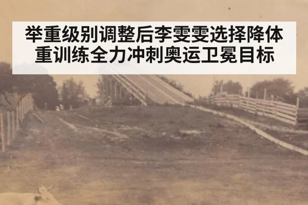举重级别调整后李雯雯选择降体重训练全力冲刺奥运卫冕目标